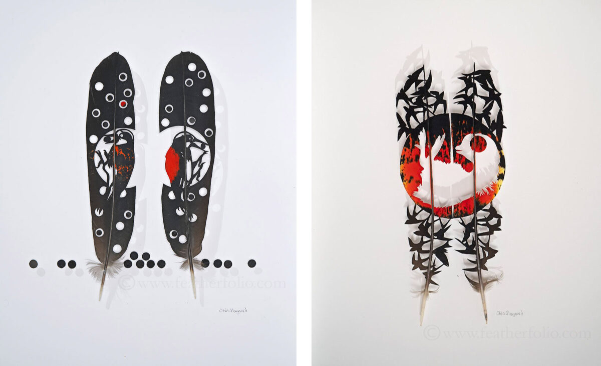 The Intricate Art Carved Out Of Feathers Of Chris Maynard (8)