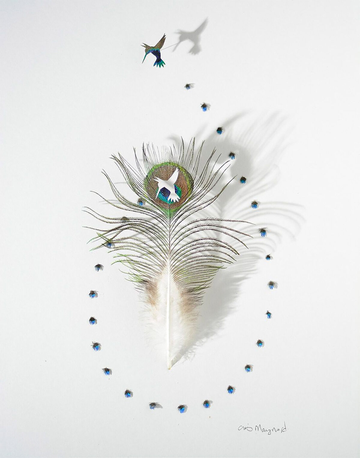 The Intricate Art Carved Out Of Feathers Of Chris Maynard (9)