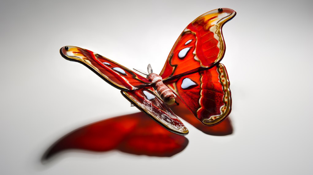 Attacus Atlas Fascinating Glass Sculptures Of Rare And Endangered Butterfly Species By Laura Hart