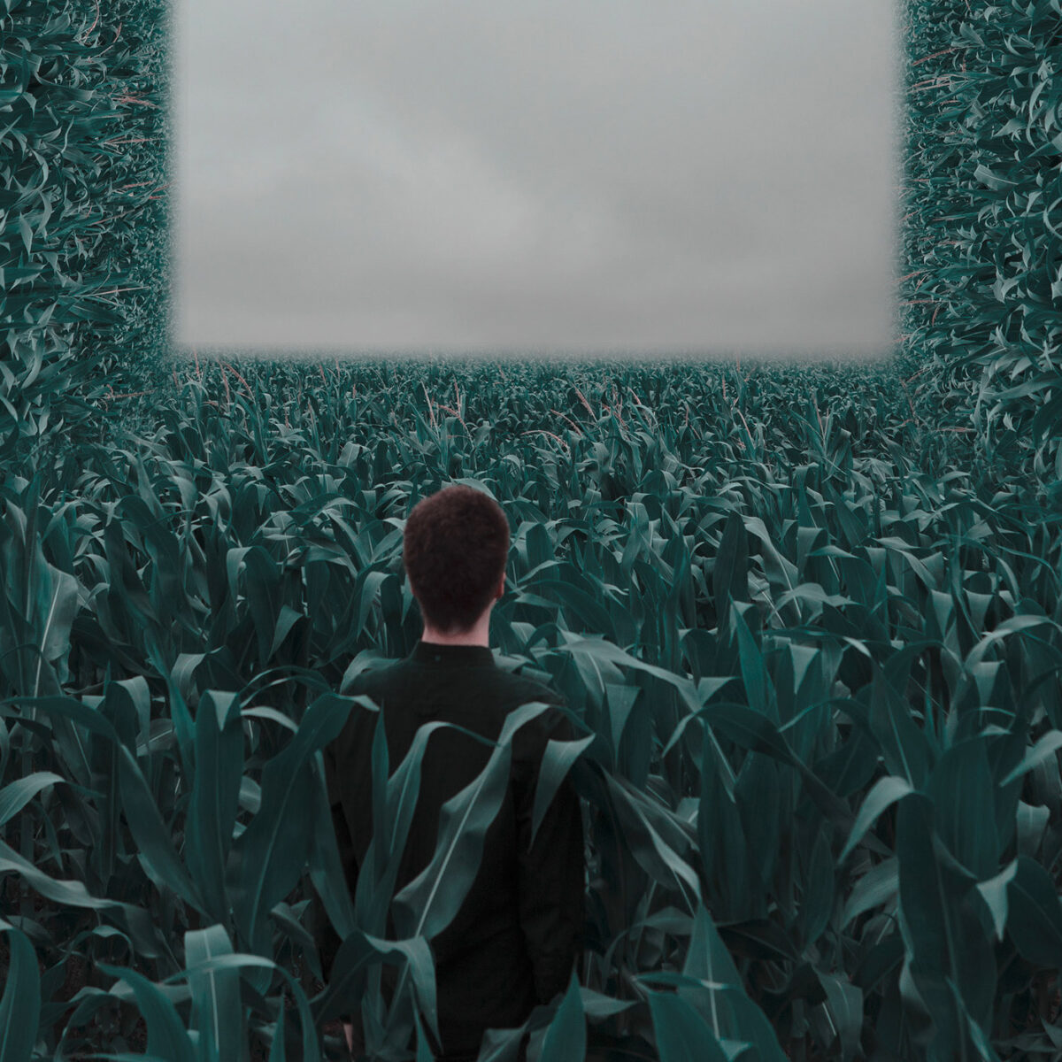 Mesmerizing Surreal Self Portraits By Karl Roberts (13)