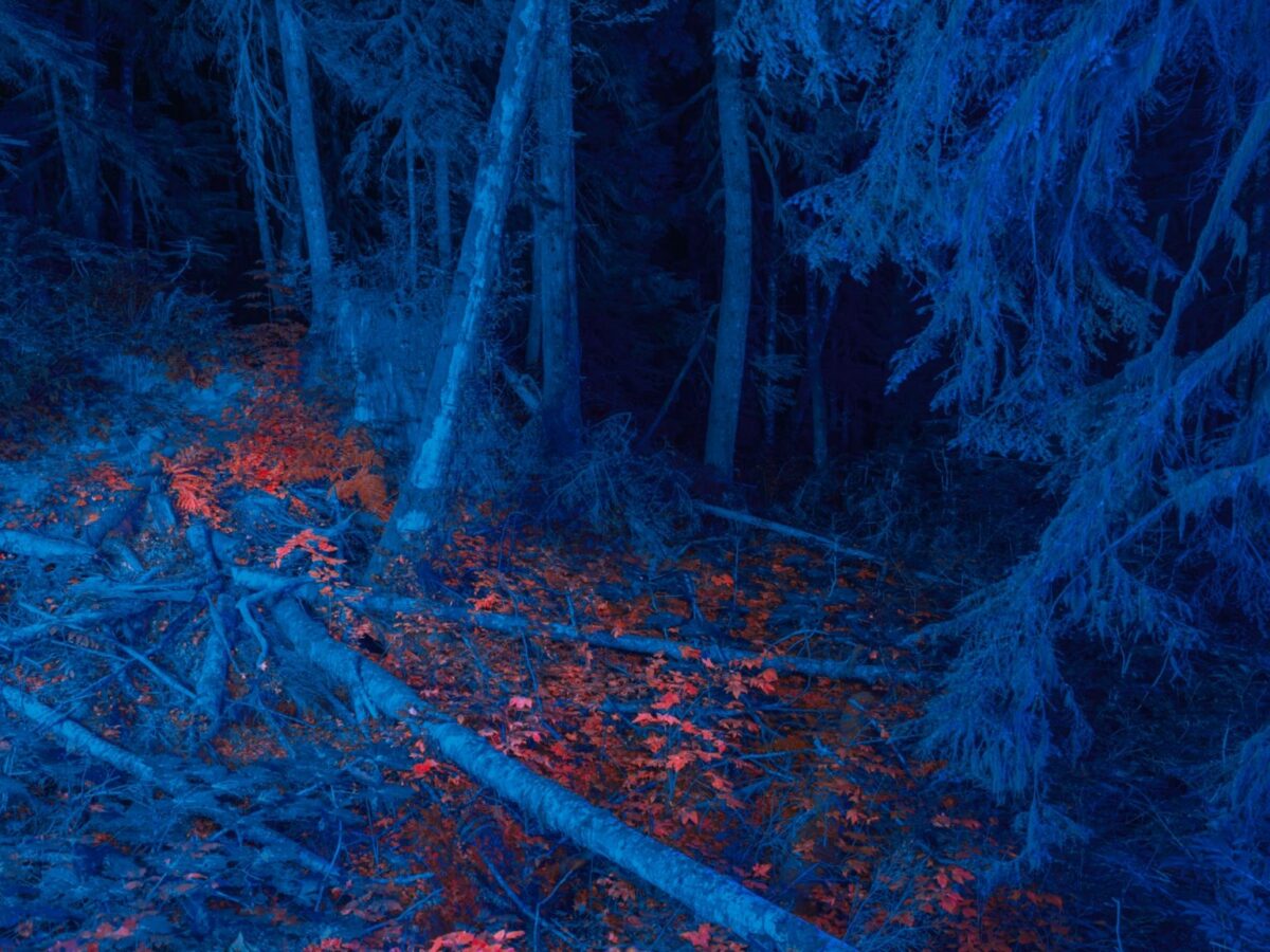 Spectral An Awe Inspiring Landscape Photography Series By Cody Cobb (14)