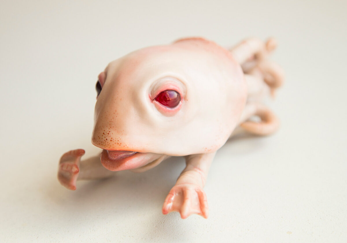 Cocoon Toy The Alien Creatures Of Anna Lesnichaya (13)