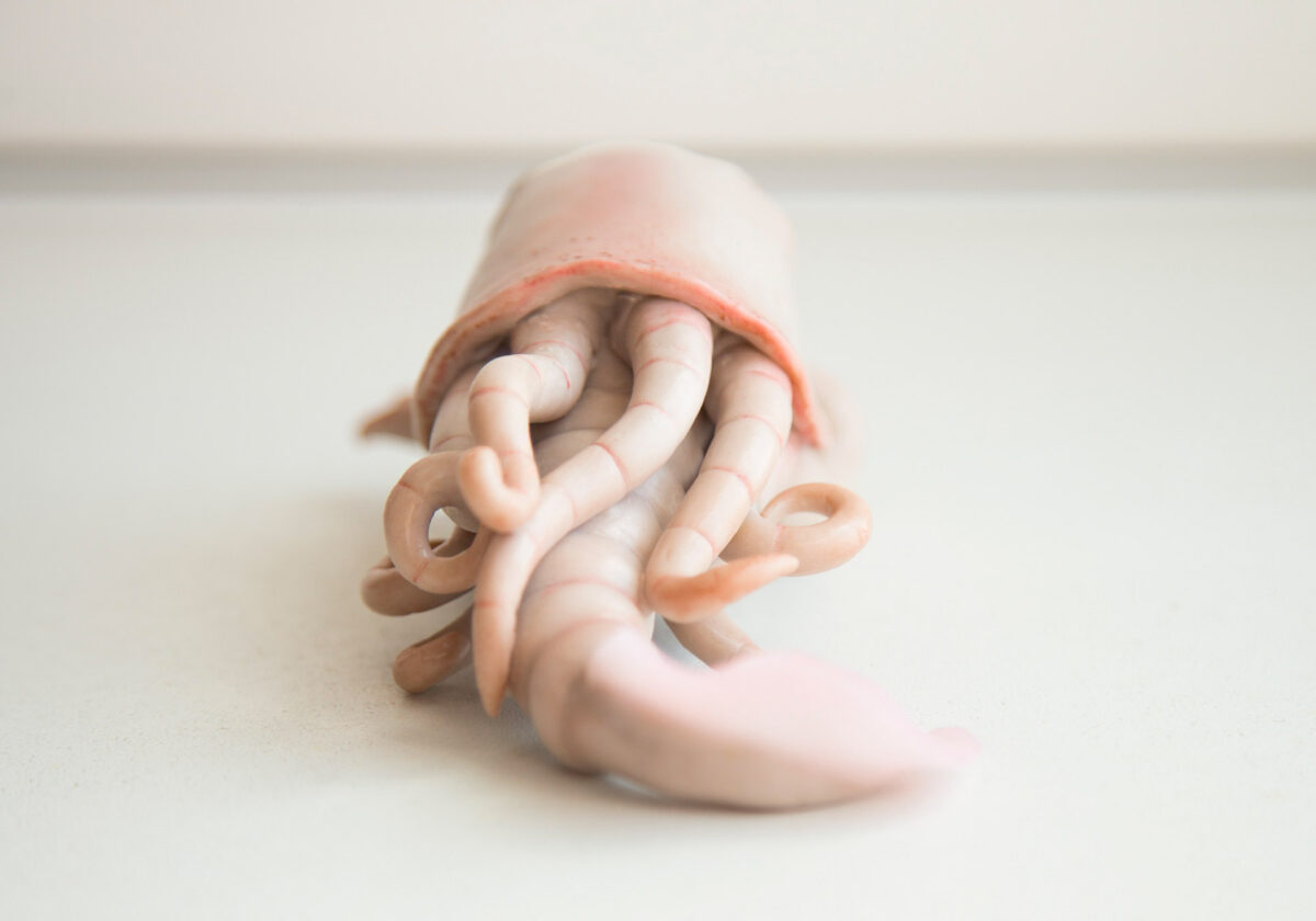 Cocoon Toy The Alien Creatures Of Anna Lesnichaya (14)