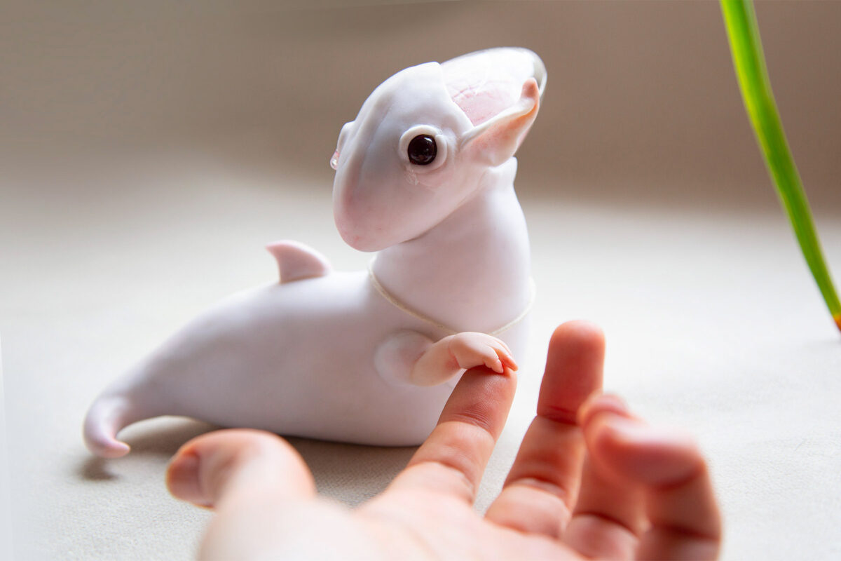 Cocoon Toy The Alien Creatures Of Anna Lesnichaya (2)