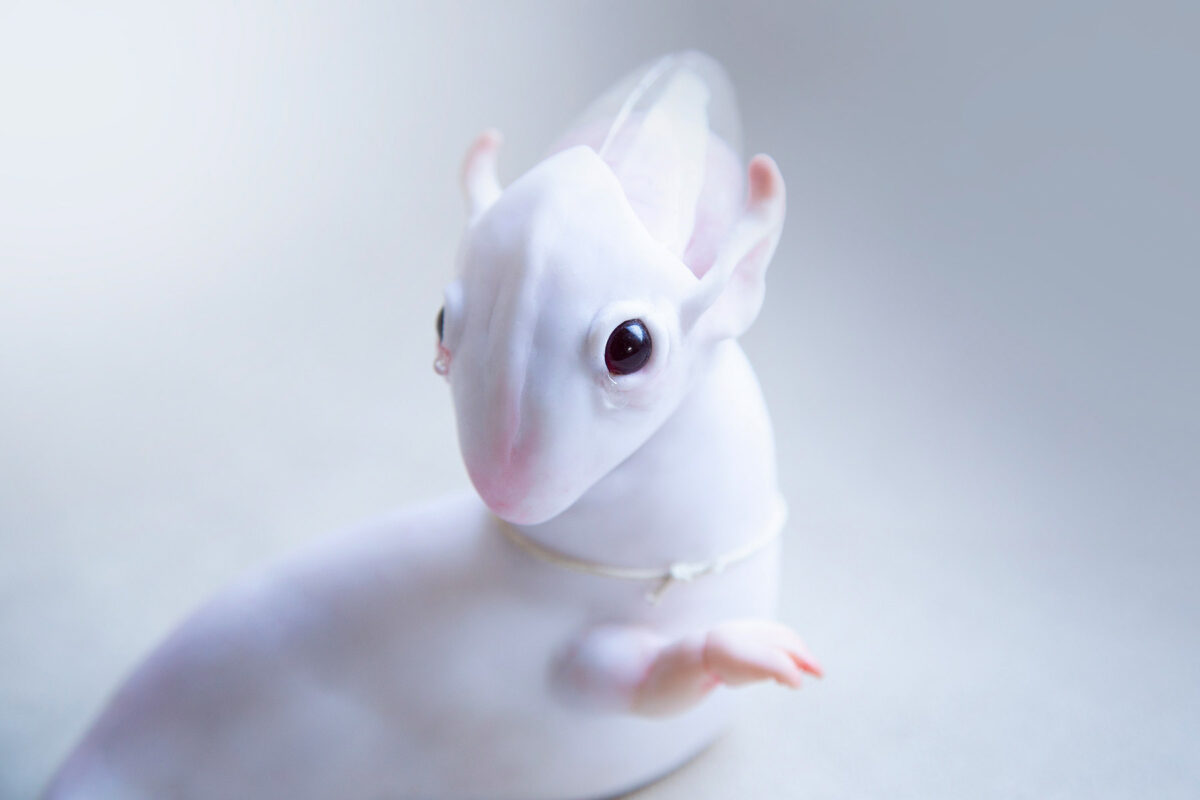 Cocoon Toy The Alien Creatures Of Anna Lesnichaya (3)