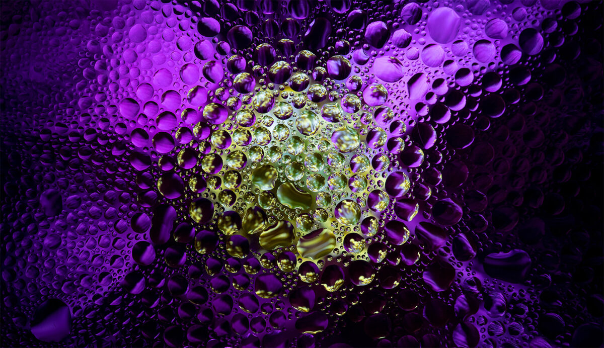 Inside A Gorgeous Floral Photography Series By Davy Evans (1)