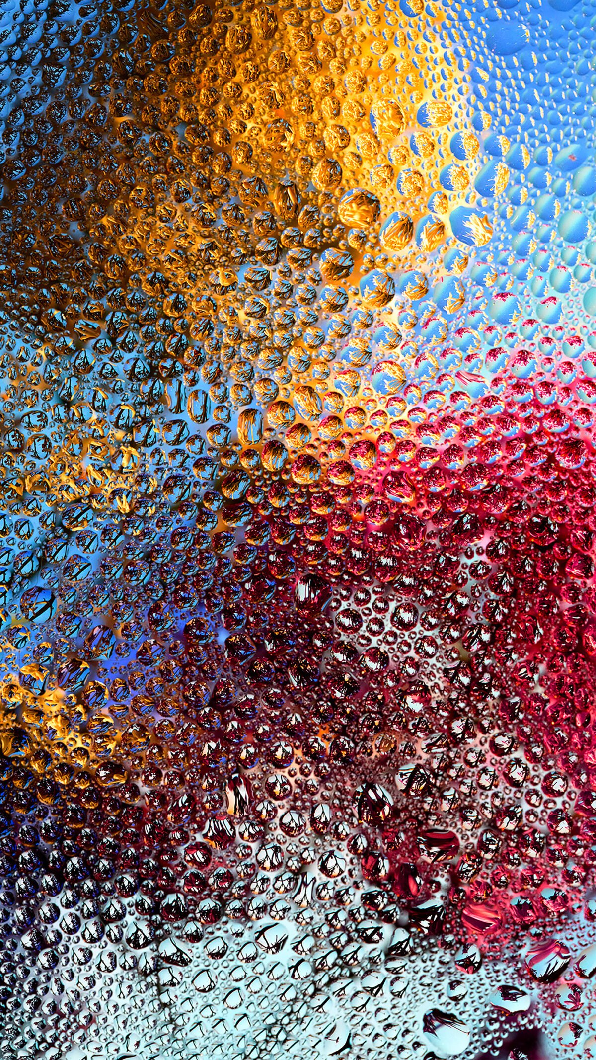 Inside A Gorgeous Floral Photography Series By Davy Evans (12)