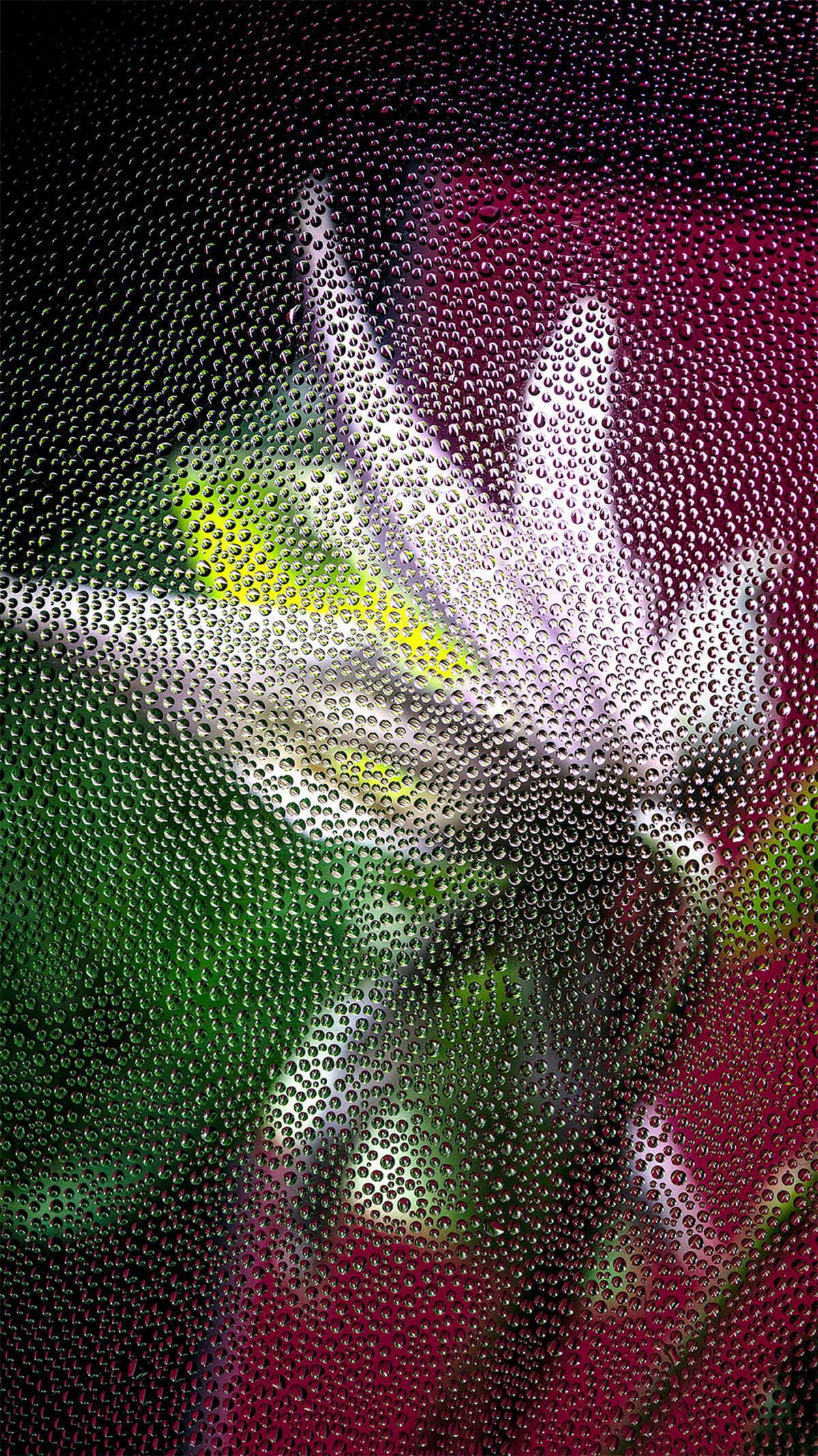 Inside A Gorgeous Floral Photography Series By Davy Evans (17)