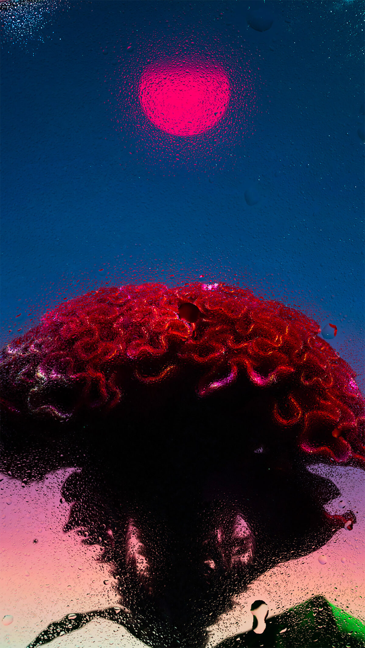 Inside A Gorgeous Floral Photography Series By Davy Evans (20)