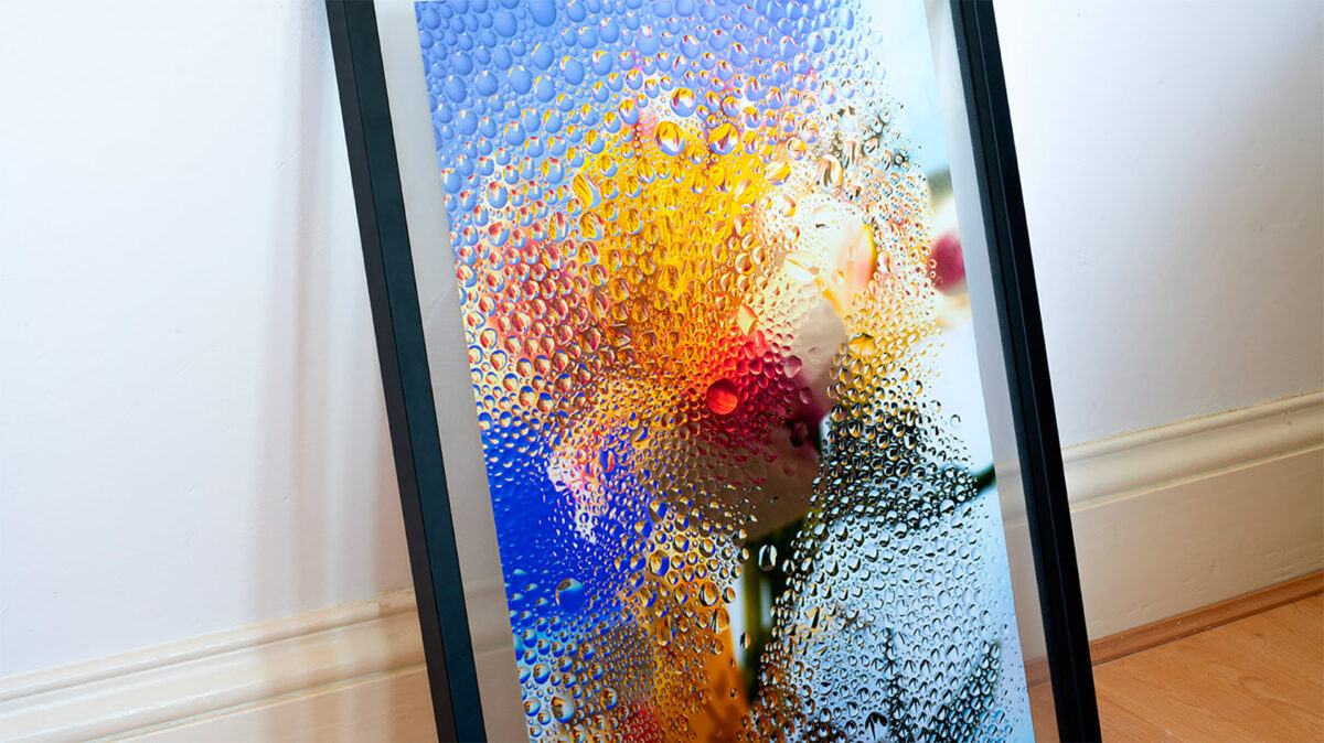 Inside A Gorgeous Floral Photography Series By Davy Evans (21)