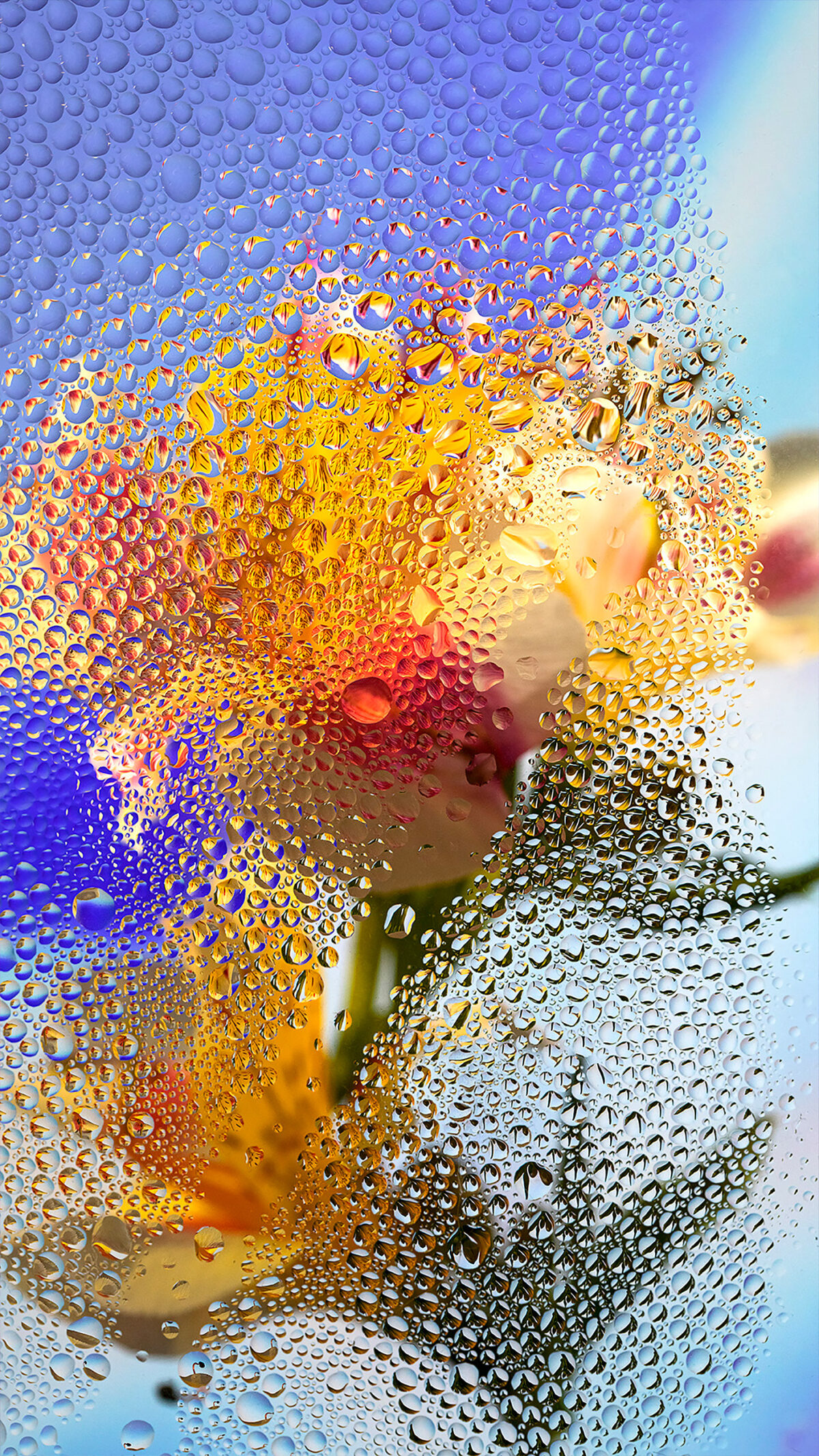Inside A Gorgeous Floral Photography Series By Davy Evans (5)