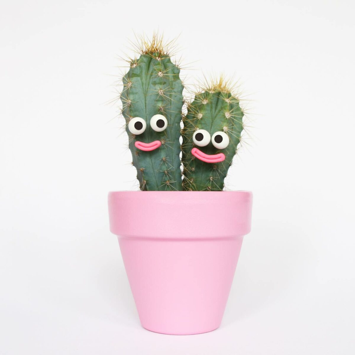 Personification The Lovely Creative Photography Of Charlotte Love (3)