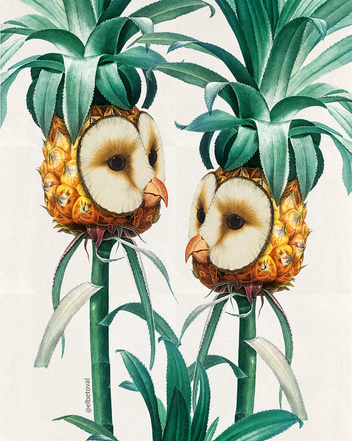 Surreal Digital Collages Of Hybrid Creatures By Beto Val (11)