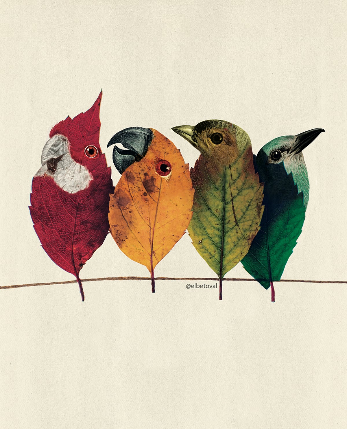 Surreal Digital Collages Of Hybrid Creatures By Beto Val (13)