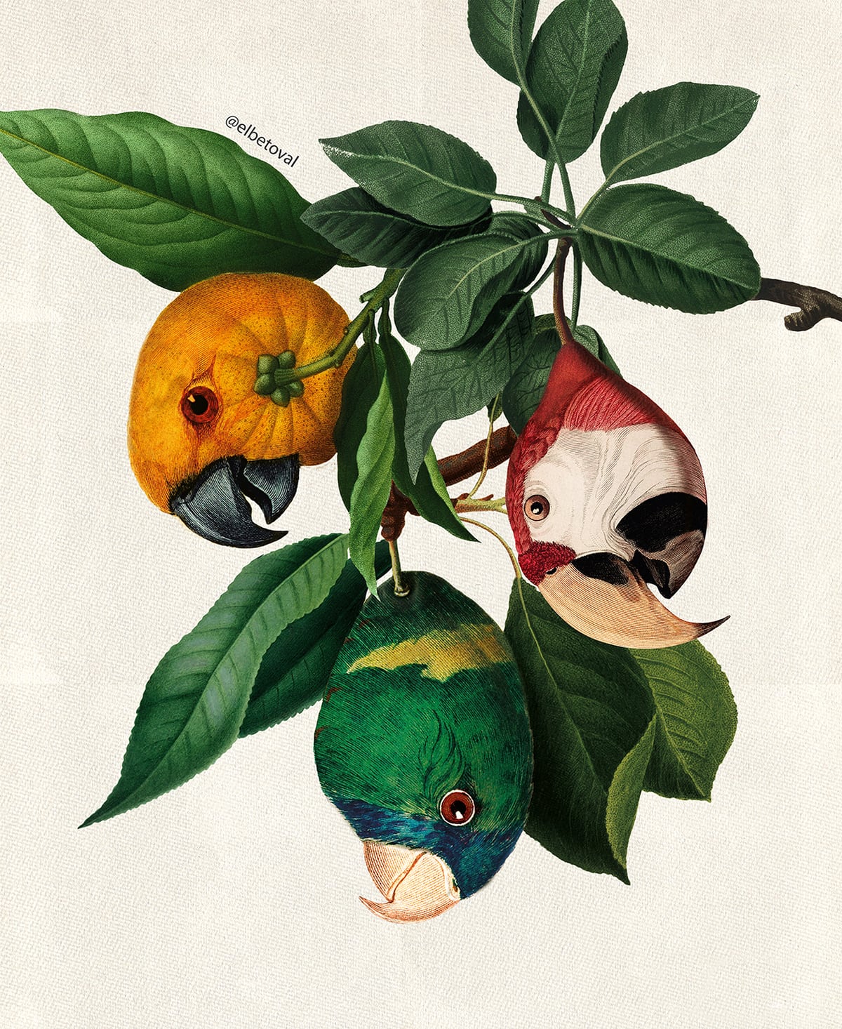 Surreal Digital Collages Of Hybrid Creatures By Beto Val (16)