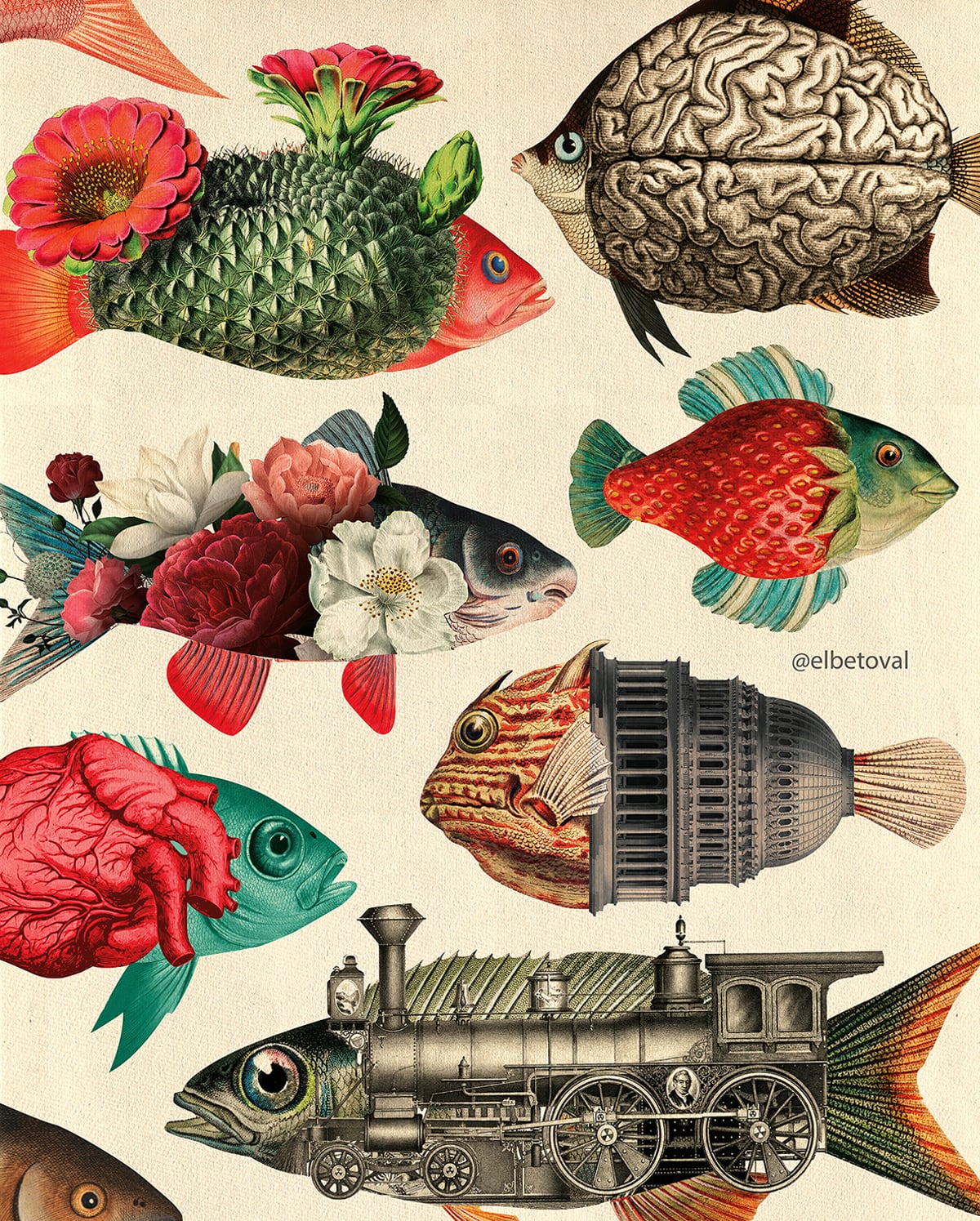 Surreal Digital Collages Of Hybrid Creatures By Beto Val (17)