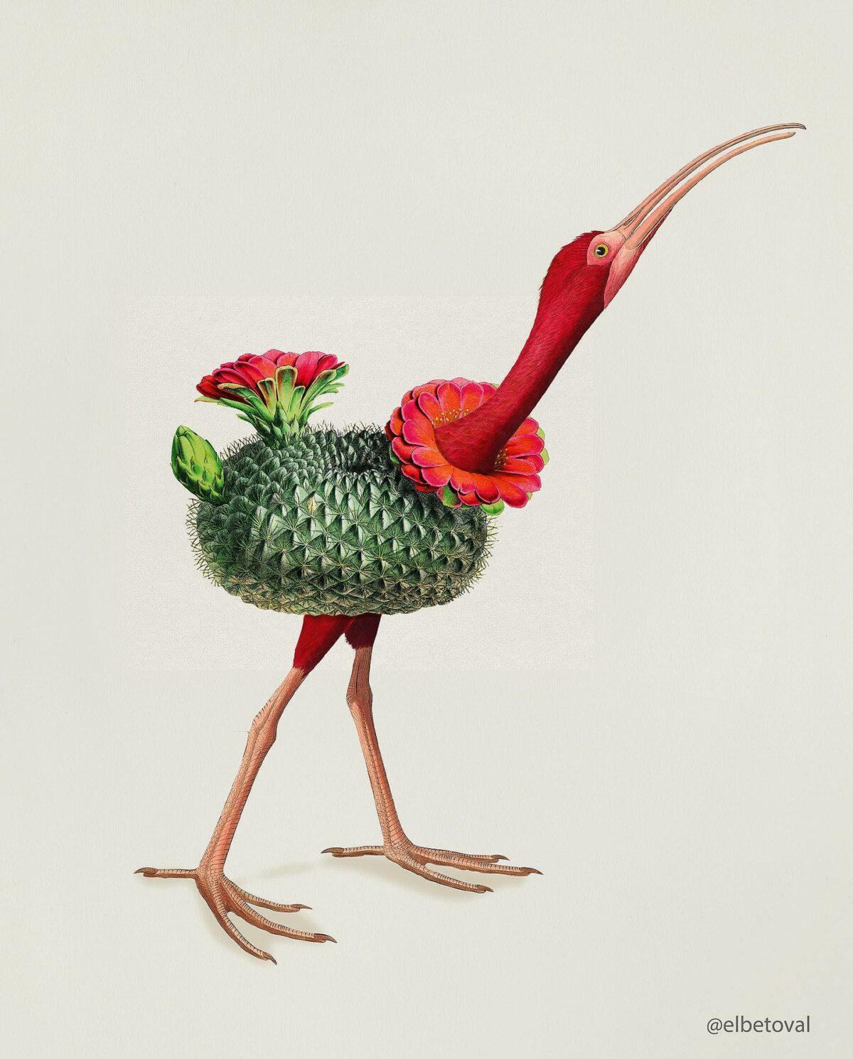 Surreal Digital Collages Of Hybrid Creatures By Beto Val (3)