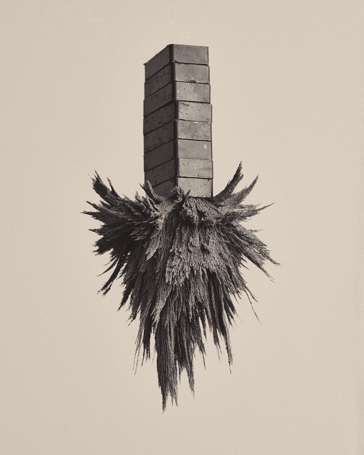 Dark Matter, An Abstract Photography Series Of Magnets And Metallic Particles By Zac Henderson (10)