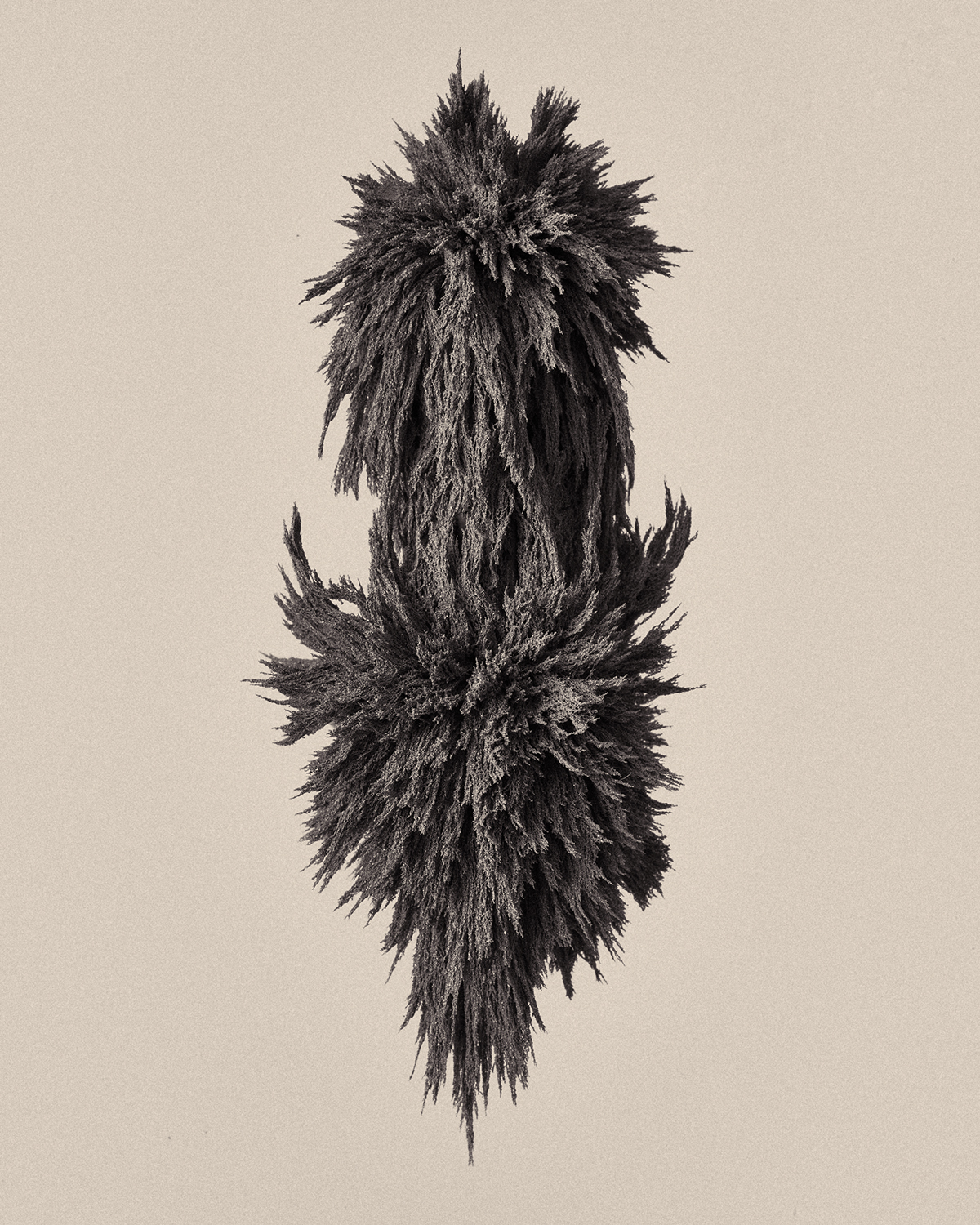 Dark Matter, An Abstract Photography Series Of Magnets And Metallic Particles By Zac Henderson (12)