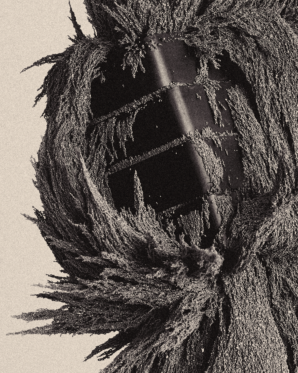 Dark Matter, An Abstract Photography Series Of Magnets And Metallic Particles By Zac Henderson (14)