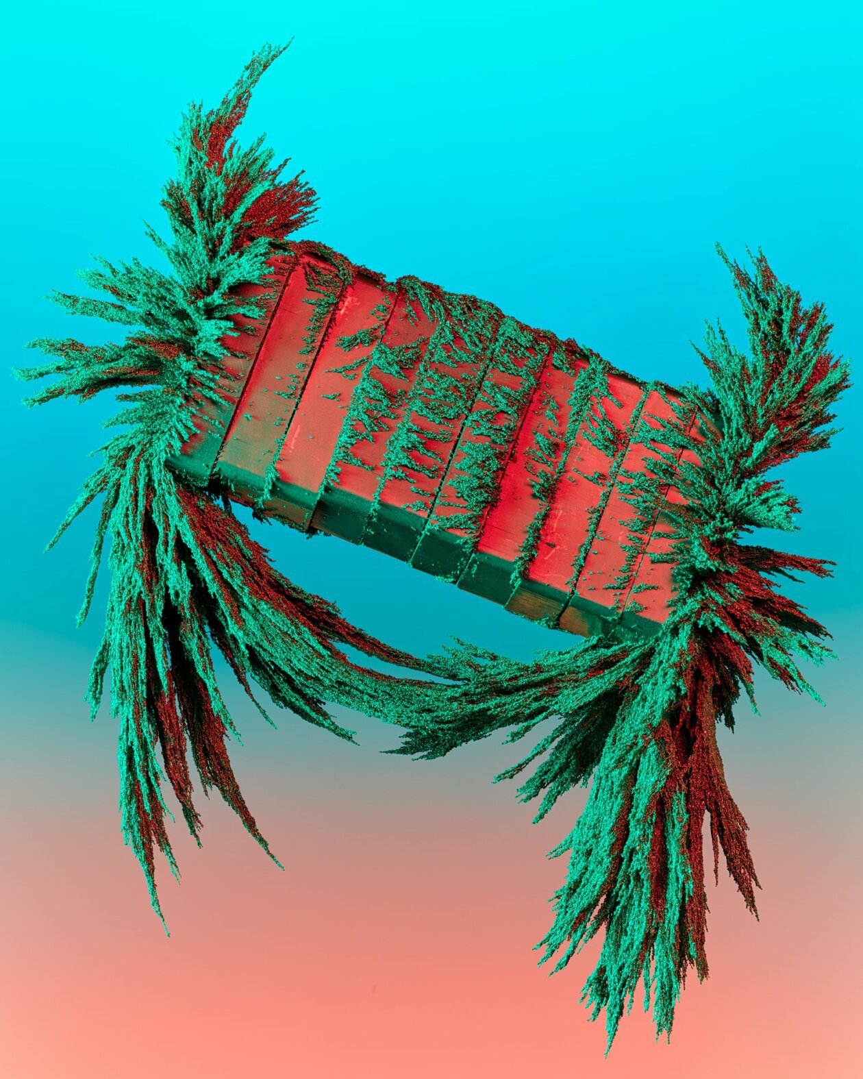 Dark Matter, An Abstract Photography Series Of Magnets And Metallic Particles By Zac Henderson (15)