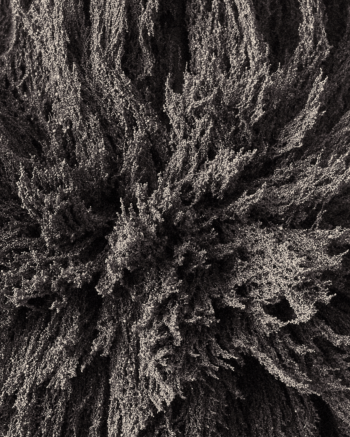 Dark Matter, An Abstract Photography Series Of Magnets And Metallic Particles By Zac Henderson (7)