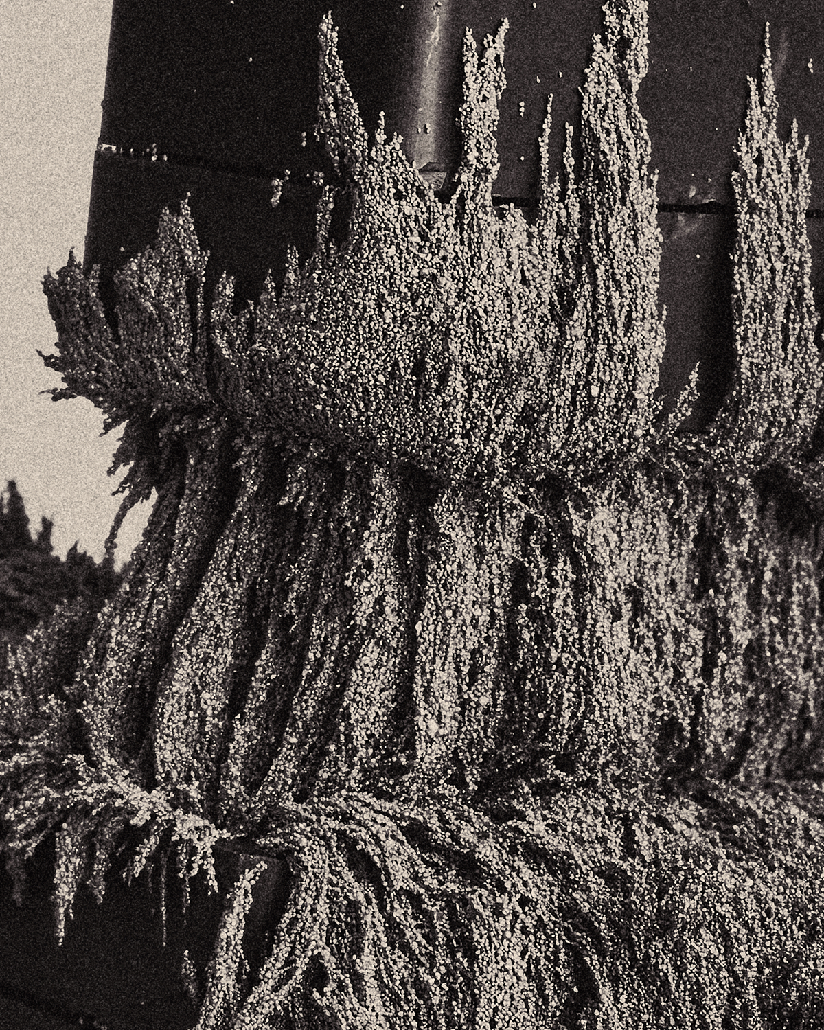 Dark Matter, An Abstract Photography Series Of Magnets And Metallic Particles By Zac Henderson (8)