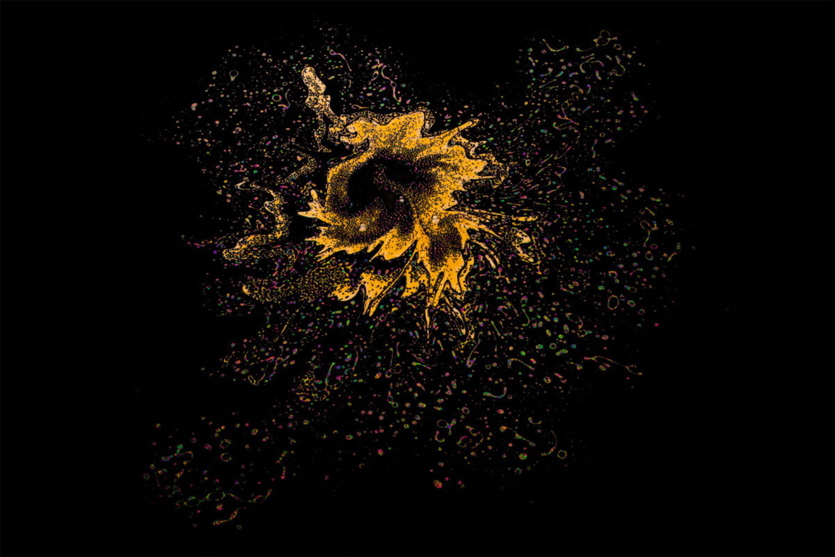 Helix, An Experimental Photography Series By Akriti Sondhi (10)