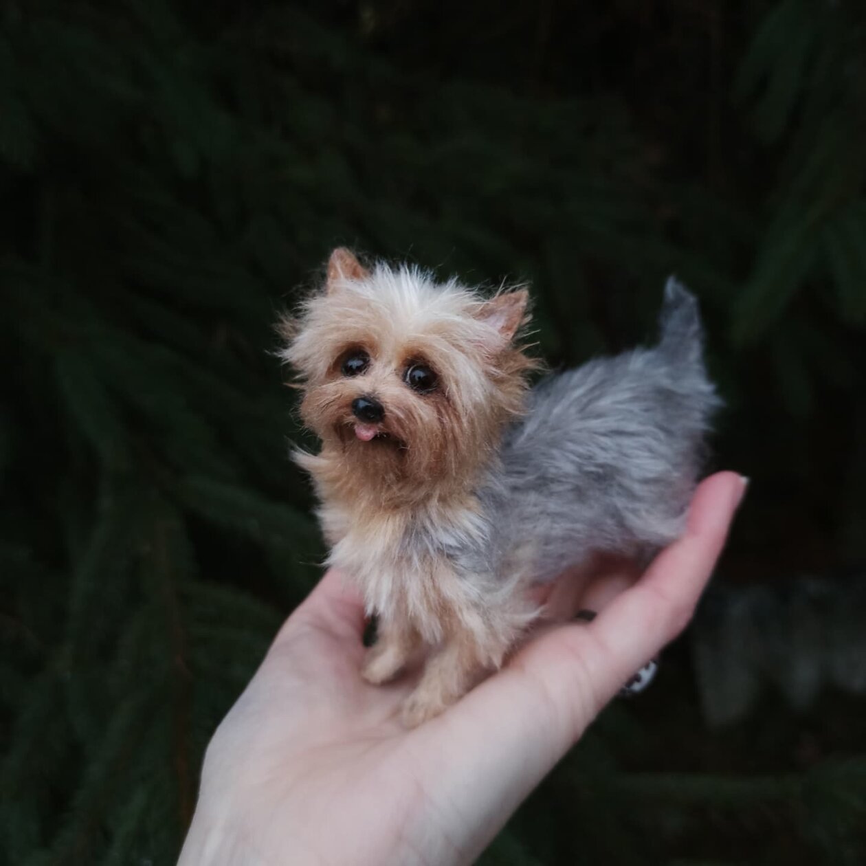 Hyper Realistic Animal Needle Felted Sculptures Yana Fedorova (10)