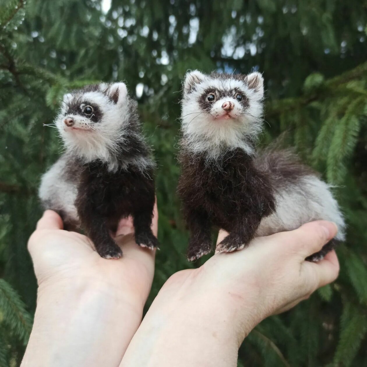 Hyper Realistic Animal Needle Felted Sculptures Yana Fedorova (12)