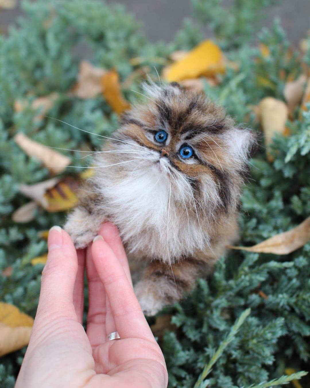 Hyper Realistic Animal Needle Felted Sculptures Yana Fedorova (22)