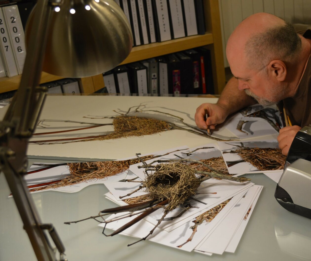 Hyperrealistic Drawings Of Buds, Branches, And Tree Trunks By David Morrison (14)