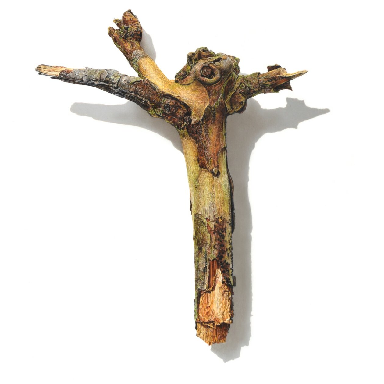 Hyperrealistic Drawings Of Buds, Branches, And Tree Trunks By David Morrison (5)