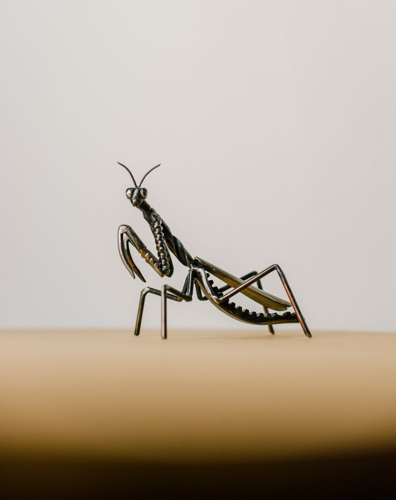 Smart Scrap Metal Sculptures Of Wild Animals By Leah Jeffery (13)