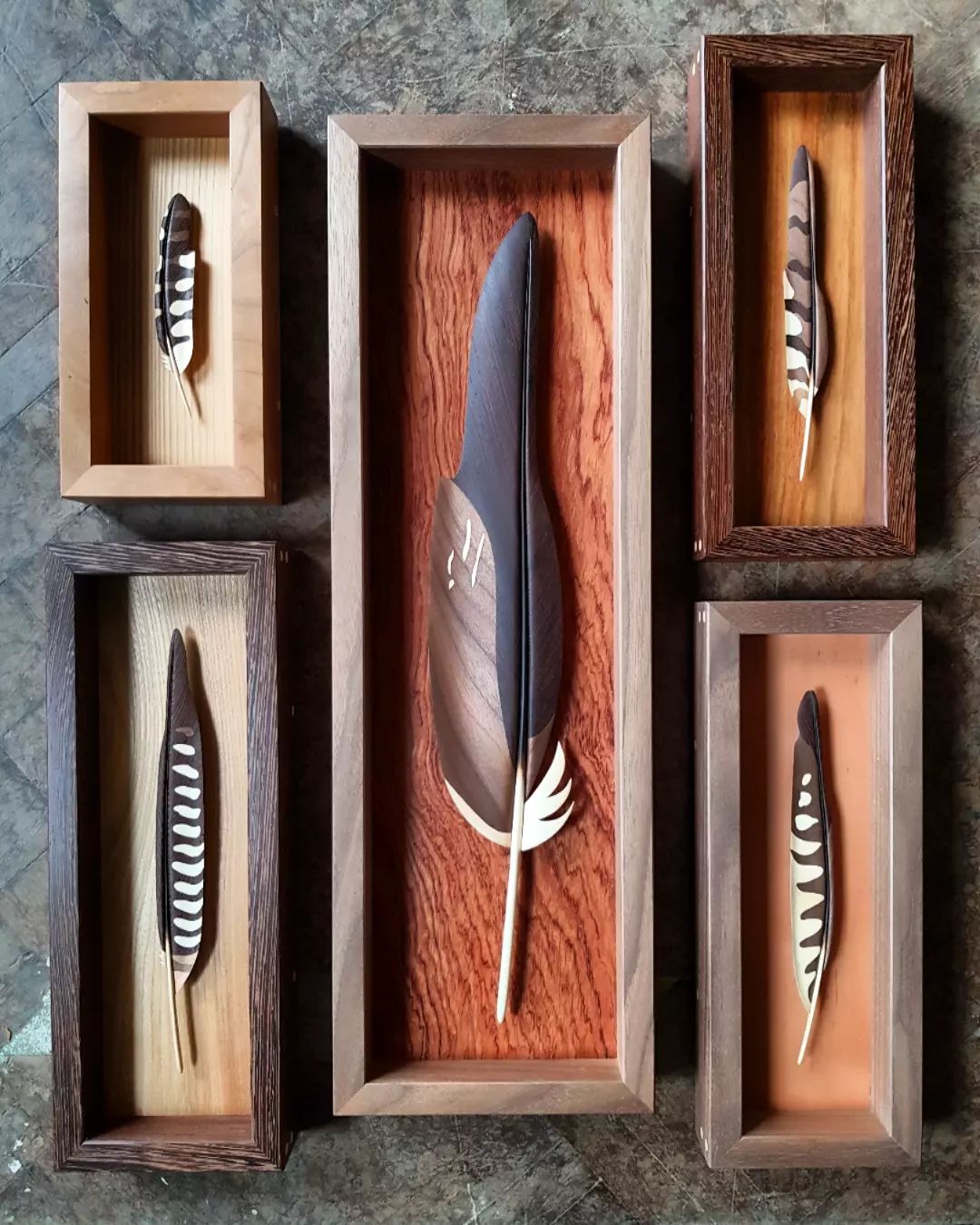 Realistic Wood Sculptures Of Bird Busts And Feathers By T.a.g. Smith (8)