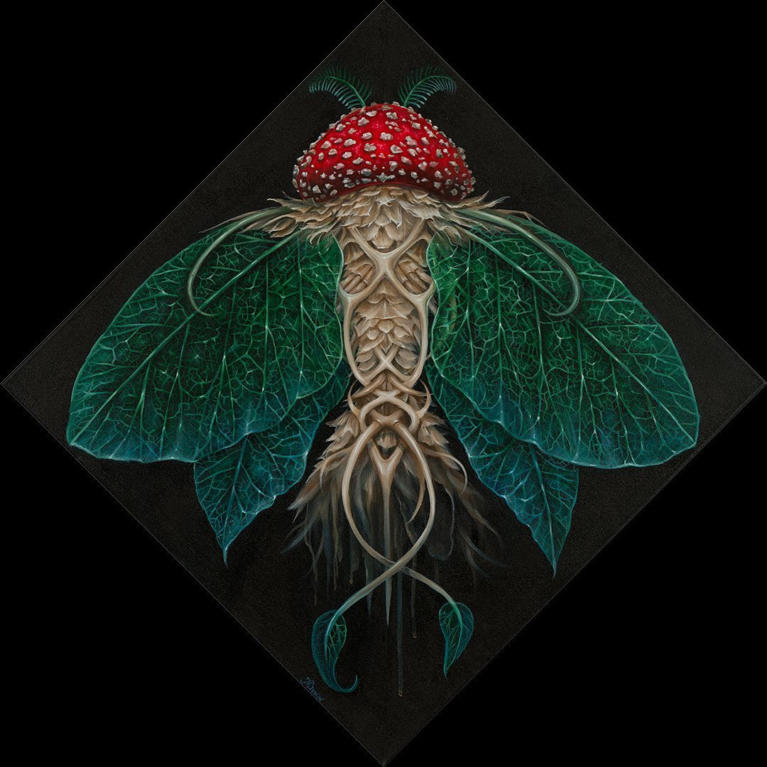 Surrealistic Portrait Paintings Of Animals Composed Of Translucent Botanics By Molly Devlin (16)