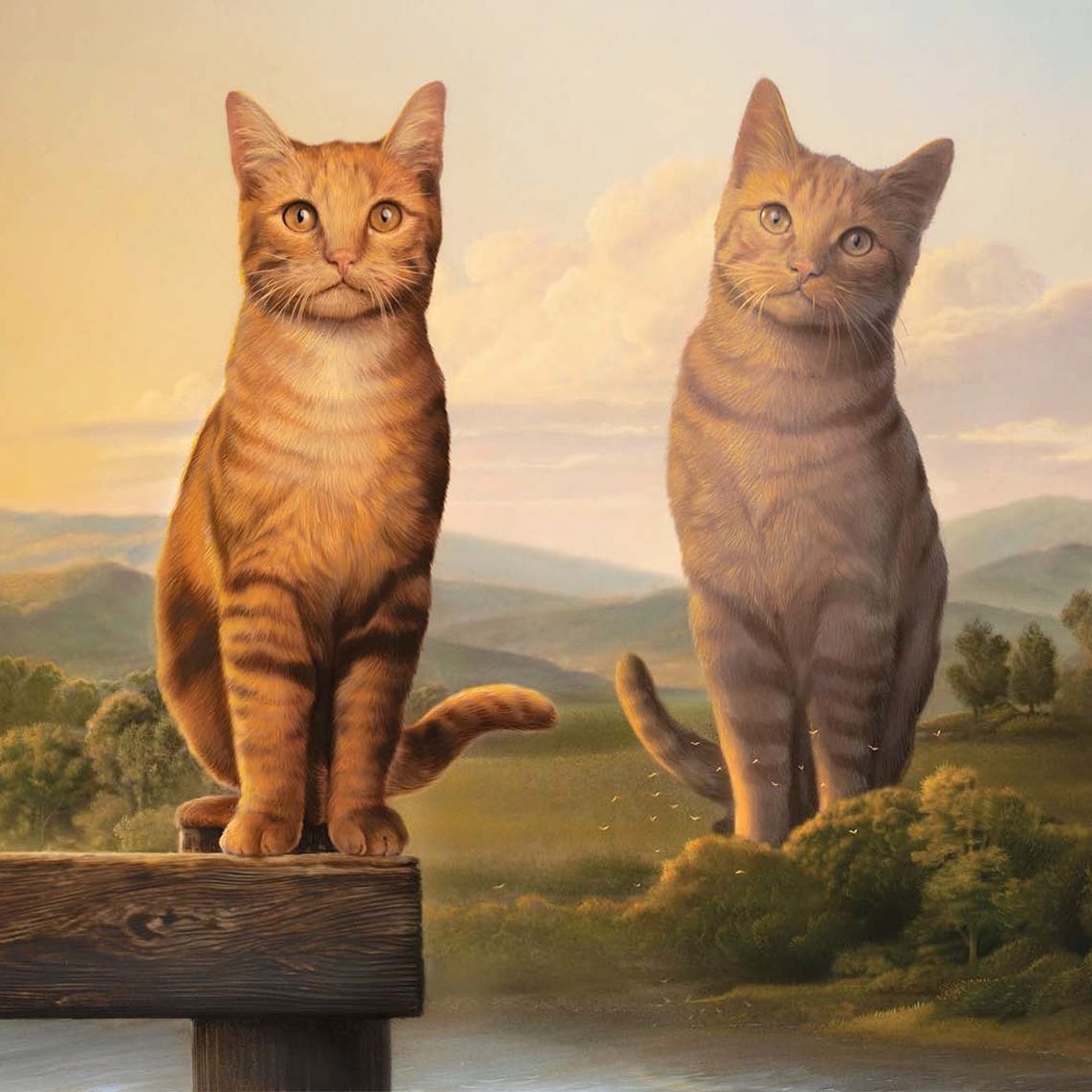 The Powerful Surreal Illustrations Of Tim O'brien (10)