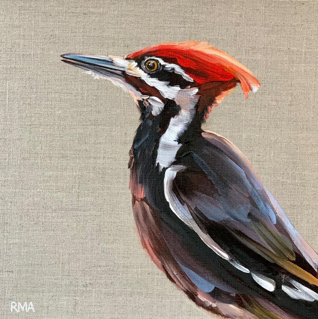 The Exquisite Bird Portrait Paintings Of Rachel Altschuler (14)