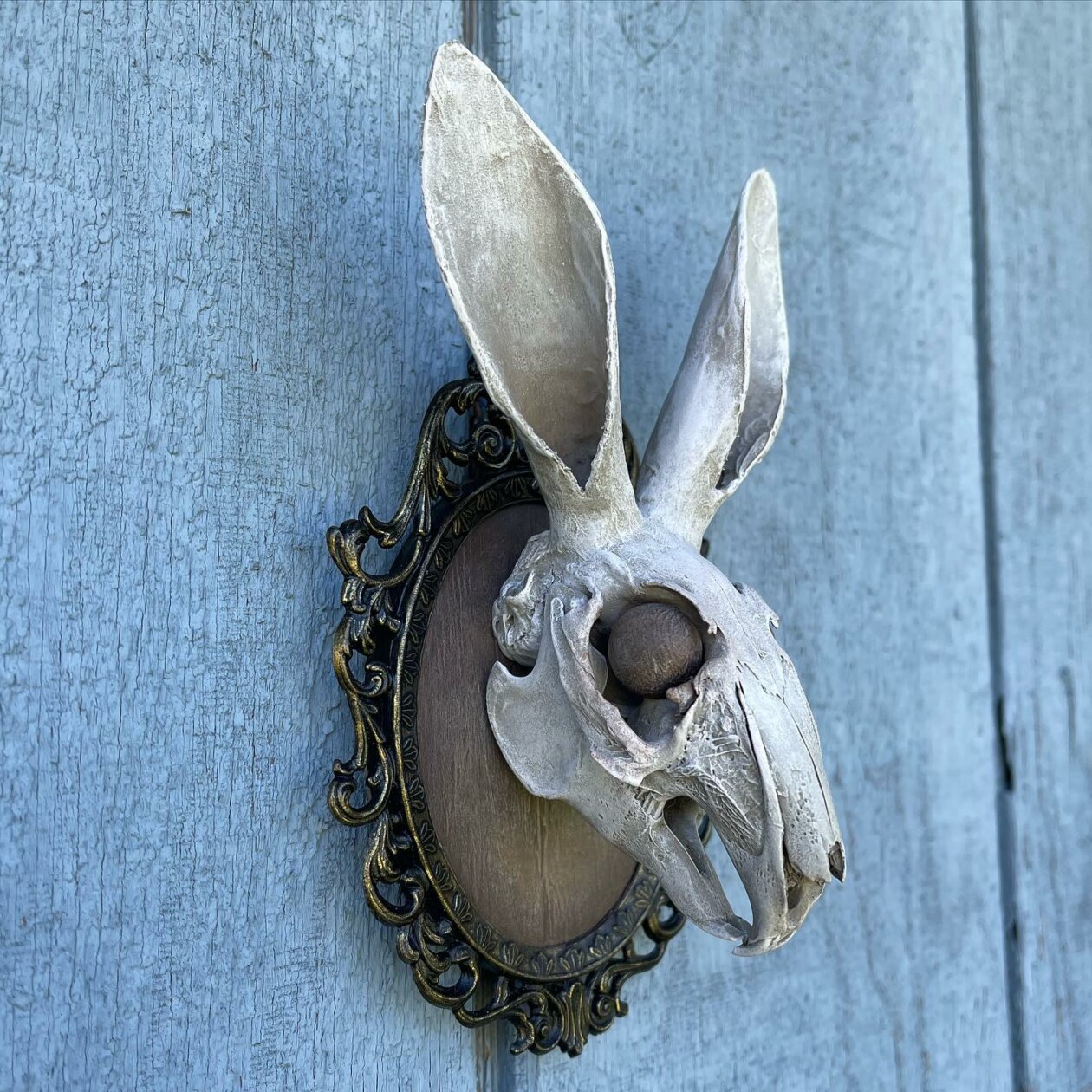 Dark Sculptures Made From Animal Skulls By Chris Haas (19)