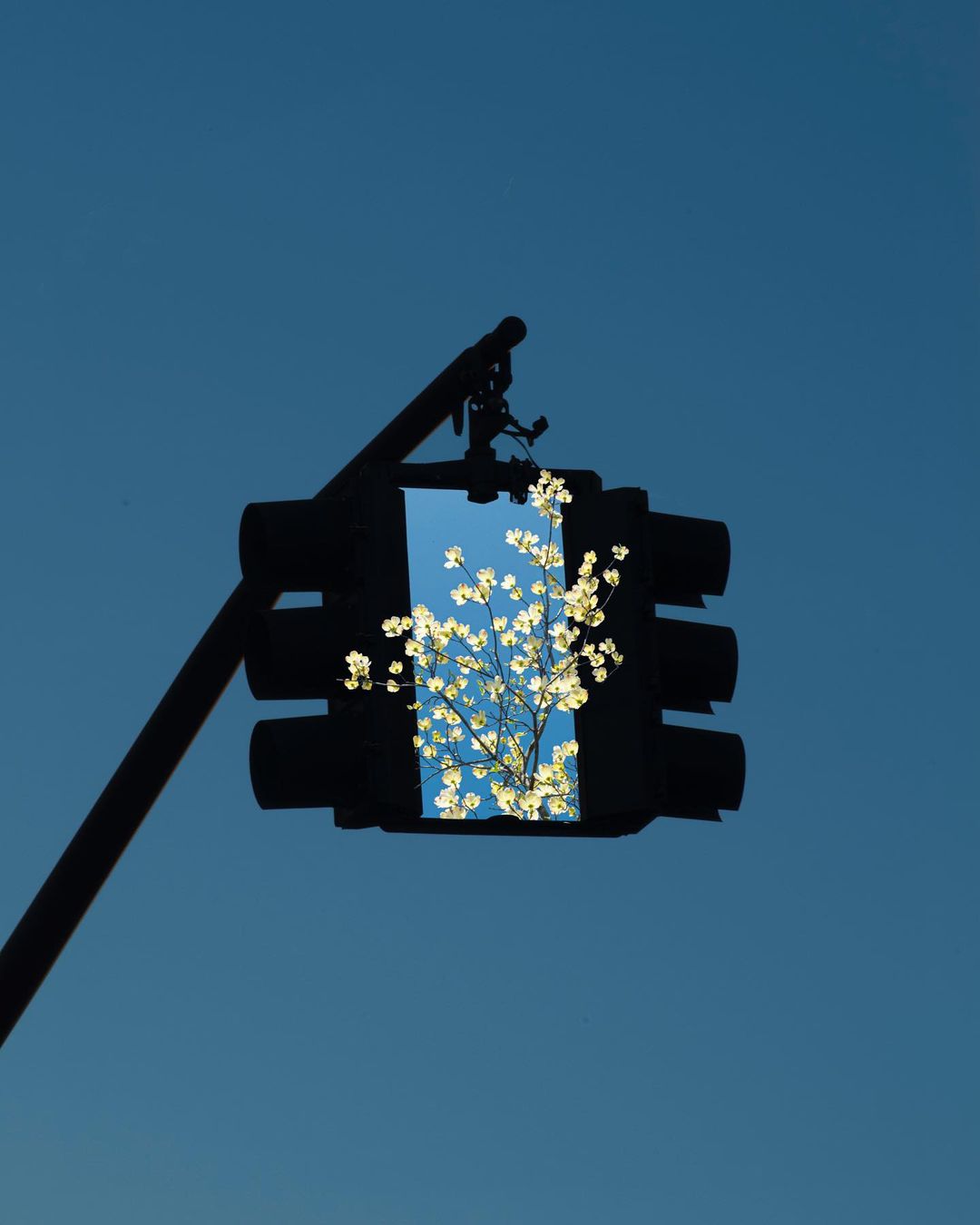 Ethereal Digital Photo Collages By Kanghee Kim (1)