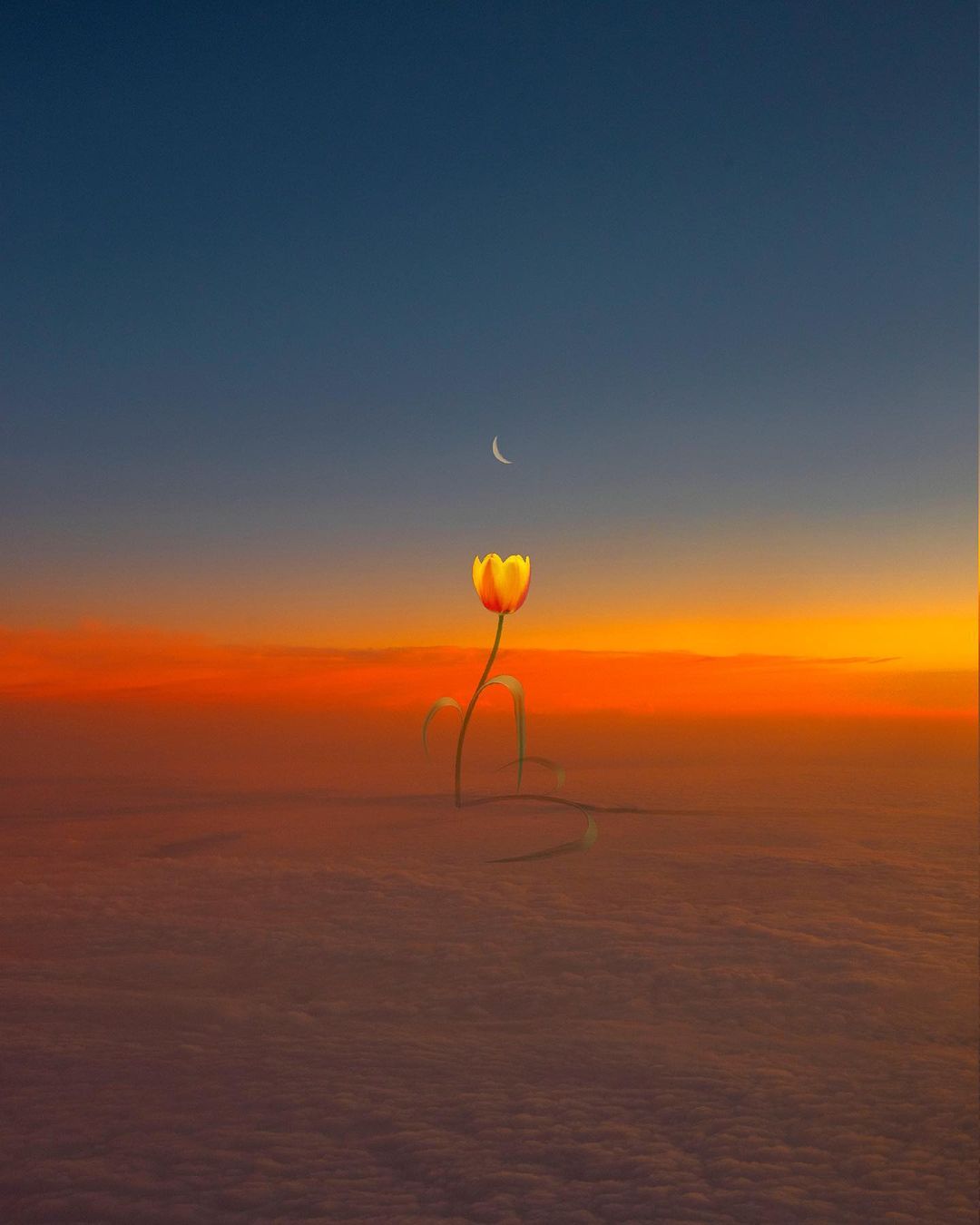 Ethereal Digital Photo Collages By Kanghee Kim (13)