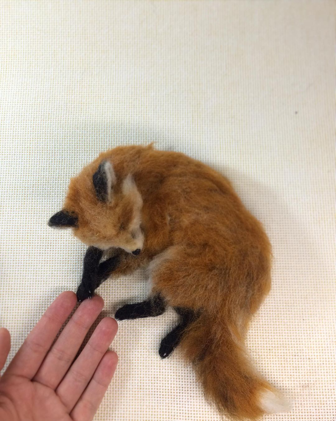 Hyper Realistic Vegan Needle Felted Animals By Elizabeth Perez (10)