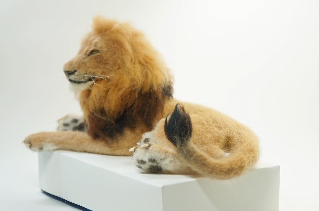 Hyper Realistic Vegan Needle Felted Animals By Elizabeth Perez (3)