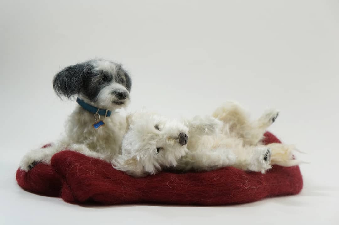 Hyper Realistic Vegan Needle Felted Animals By Elizabeth Perez (6)