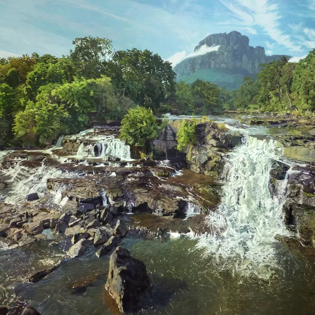 Intricate Photorealistic Paintings By Alonzo Morales Bravo (11)