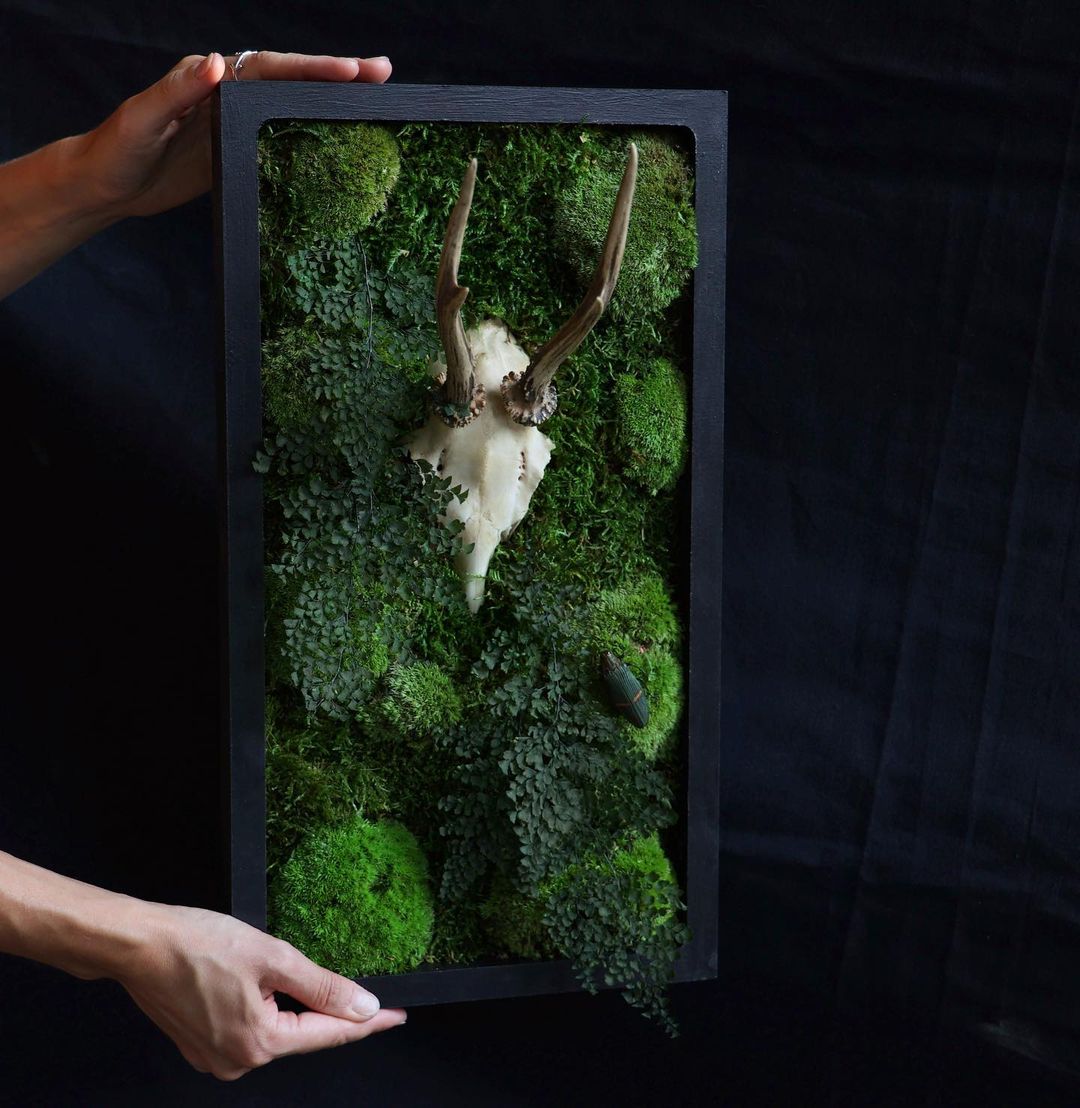 Gorgeous Herbarium In Glass And Resin Sea Frames By Anna Paschenko (20)