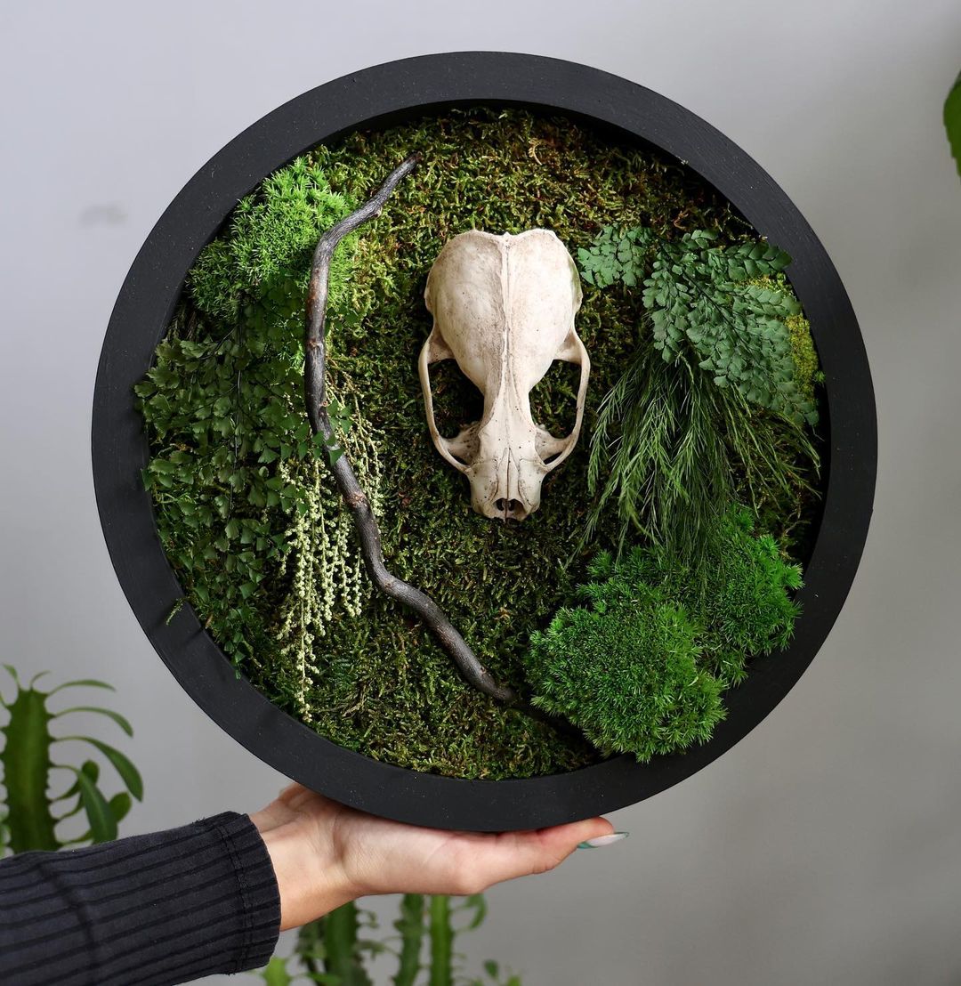 Gorgeous Herbarium In Glass And Resin Sea Frames By Anna Paschenko (21)