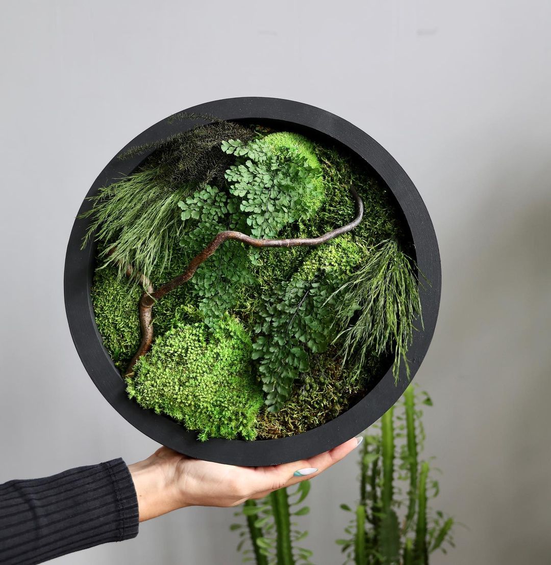 Gorgeous Herbarium In Glass And Resin Sea Frames By Anna Paschenko (22)