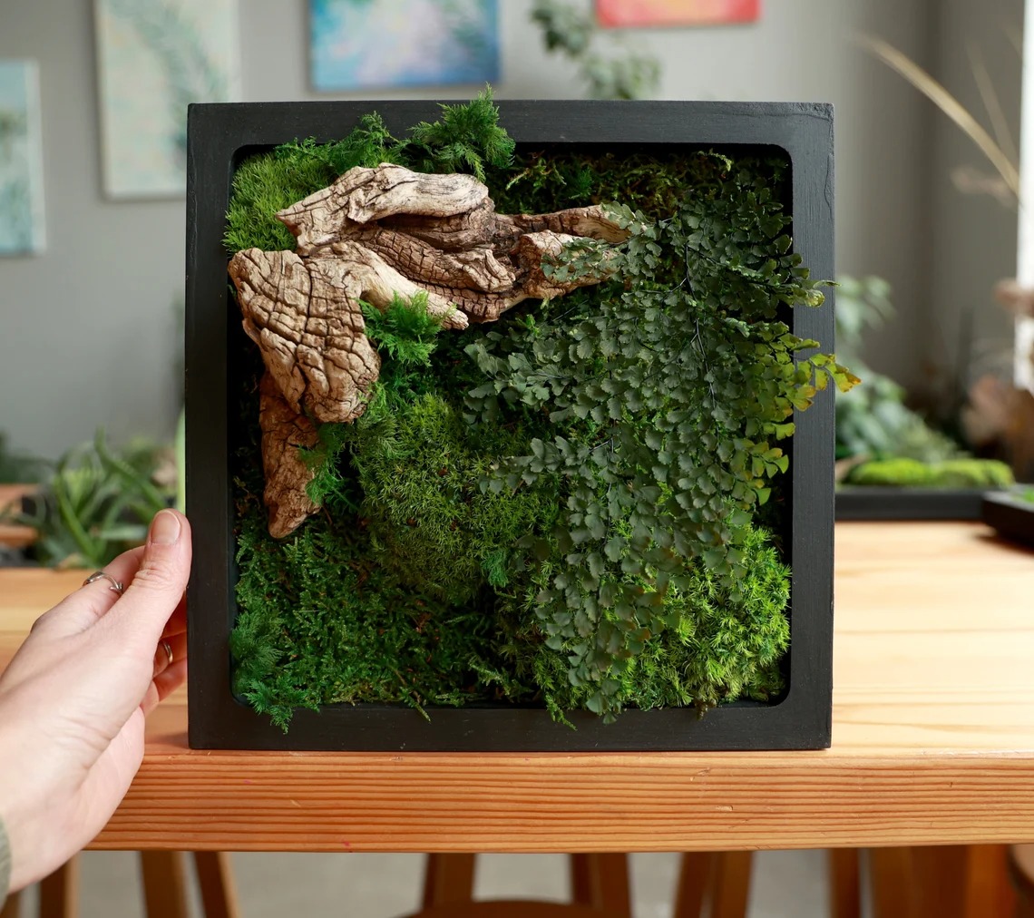 Gorgeous Herbarium In Glass And Resin Sea Frames By Anna Paschenko (7)