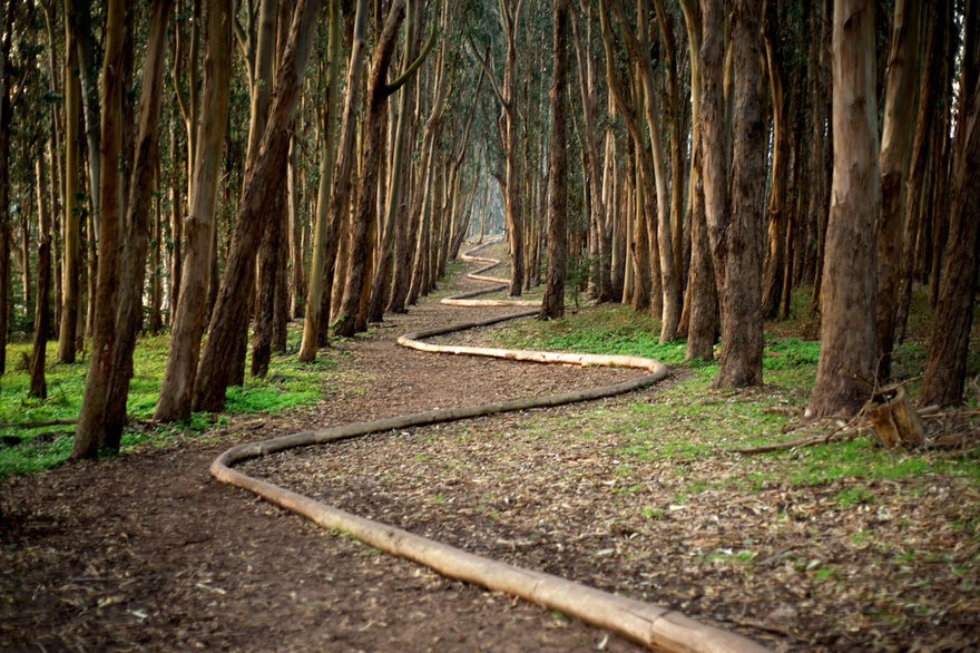 The Outstanding Land Art Of Andy Goldsworthy (20)